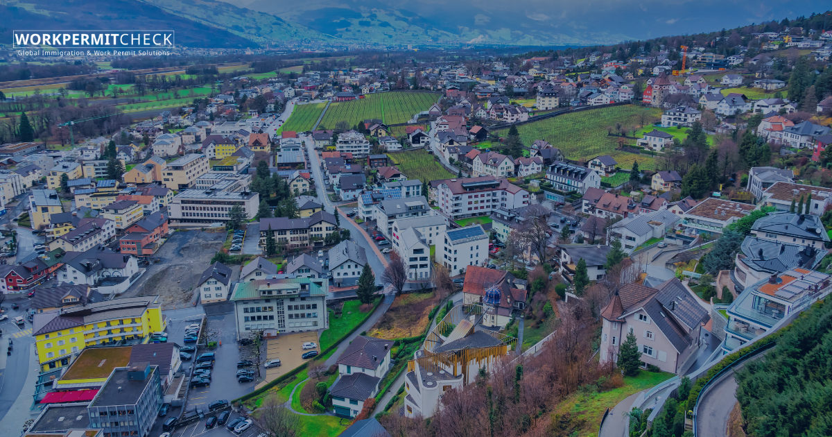 Is There an EU Blue Card Option for Liechtenstein?