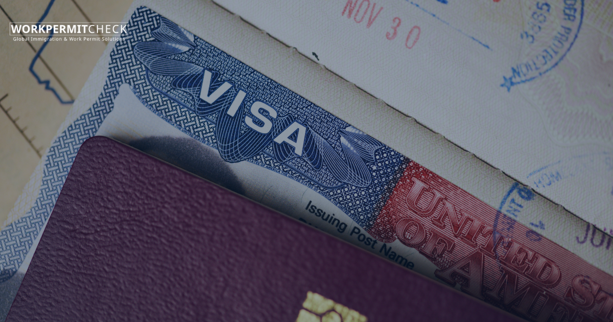 What is the MVV Visa in the Netherlands?