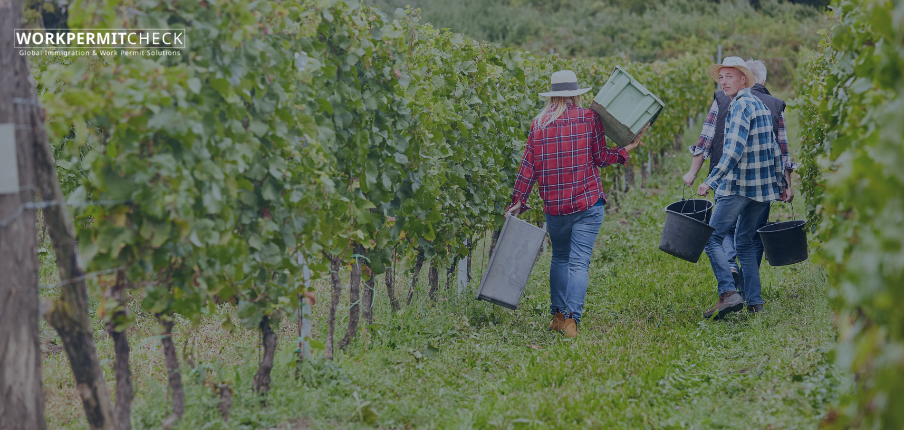 What is the Visa Policy for Seasonal Workers in Austria?
